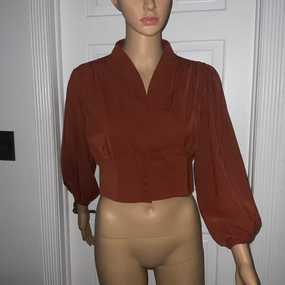 V-Neck Puff Long Sleeve Cropped Top. Brown. One left